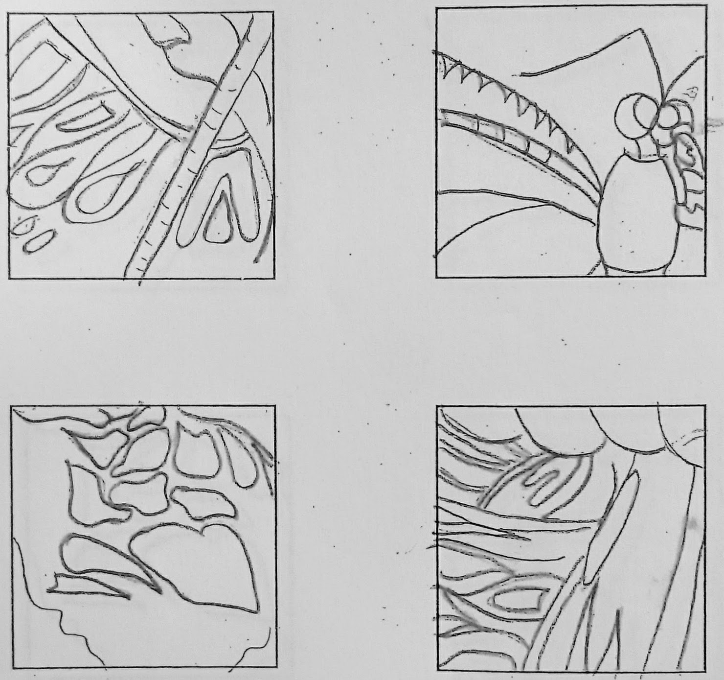 Pattern design step by step lessons