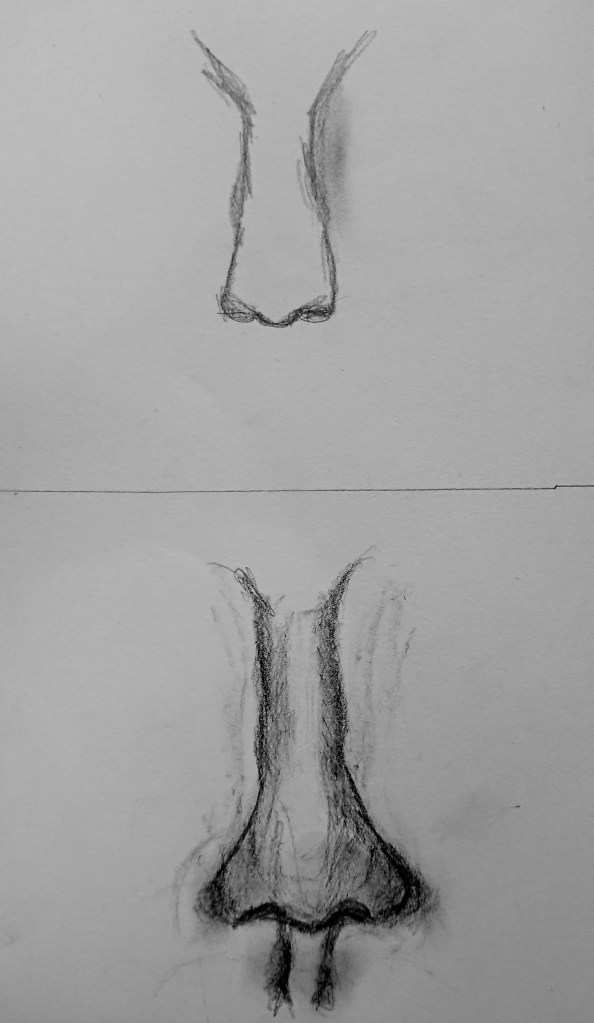 Drawing noses step by step