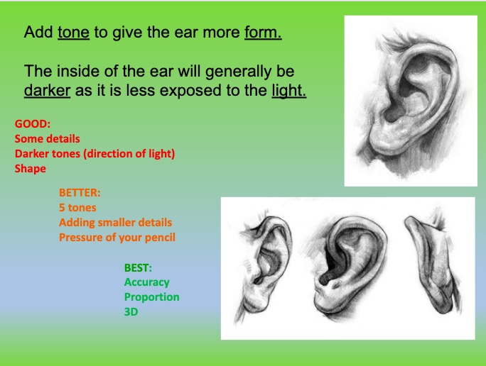 Drawing ears - portrait scheme of work