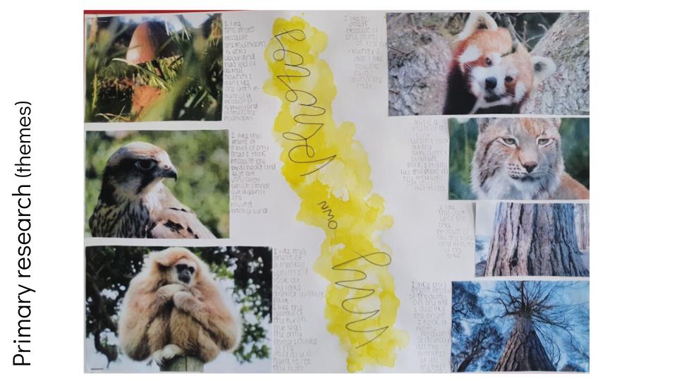 GCSE Art Grade 9 Primary Research Photograph Examples