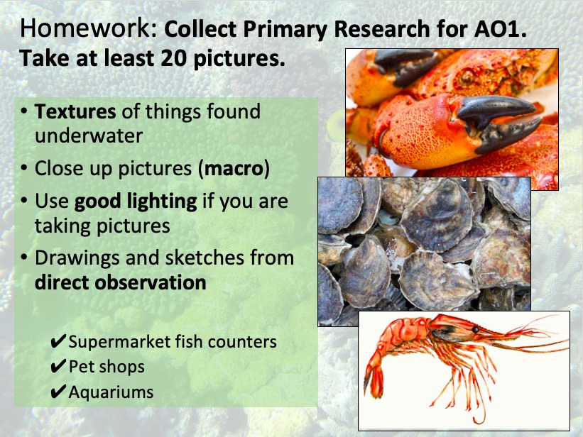 Underwater GCSE project