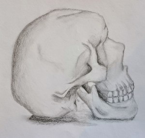 GCSE Art skull drawing