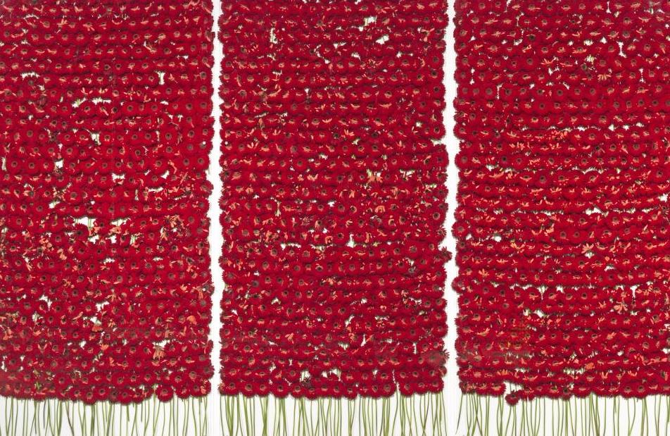 Anya Gallaccio - LGBTQIA+ Artists