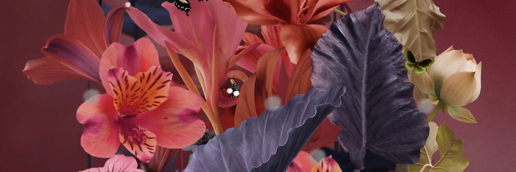 Juli Manara - LGBTQIA+ Artists