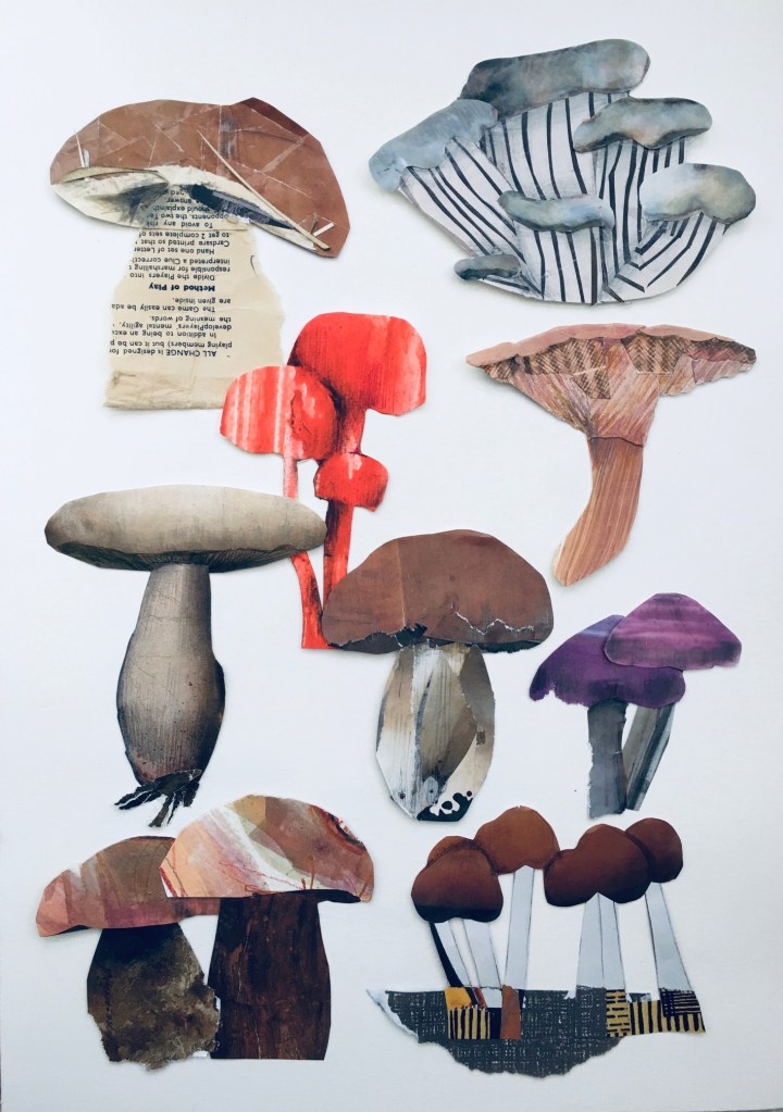 Andrea Joseph - natural forms collage artwork - mushrooms