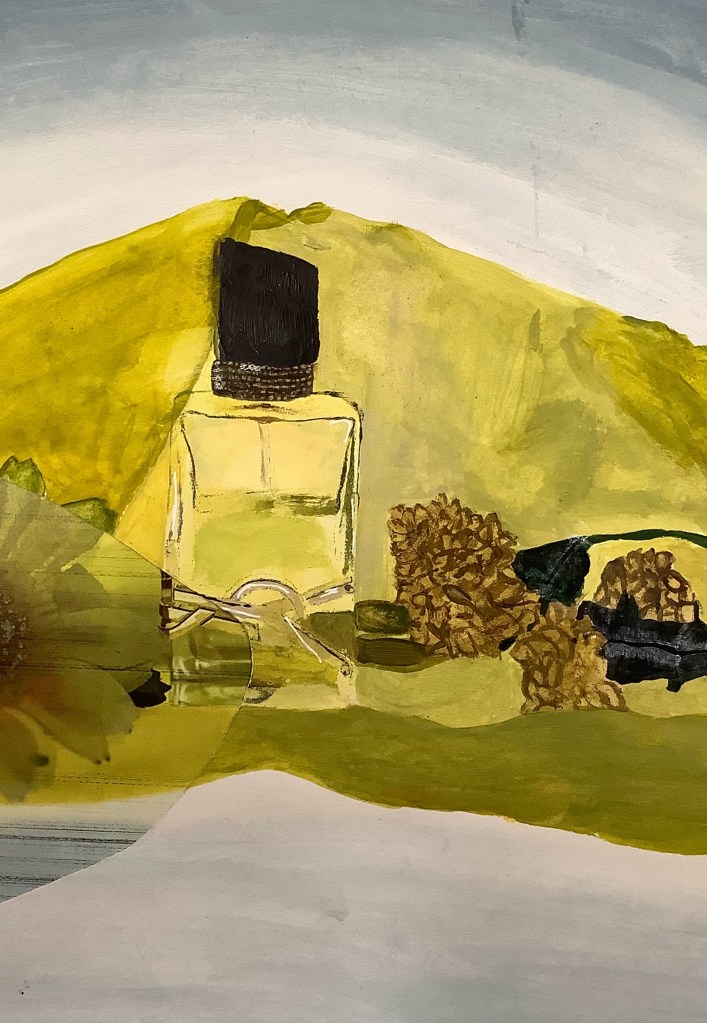 GCSE art acrylic paint project